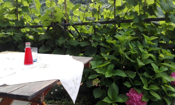 Avegno House | ALESSIA HOUSE IN THE GREEN WITH PARKING AND WIFI CITRA 010002-LT-0047