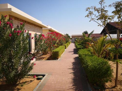 Al Wasil Hotel | Almorouj Farm inn - Bidiya