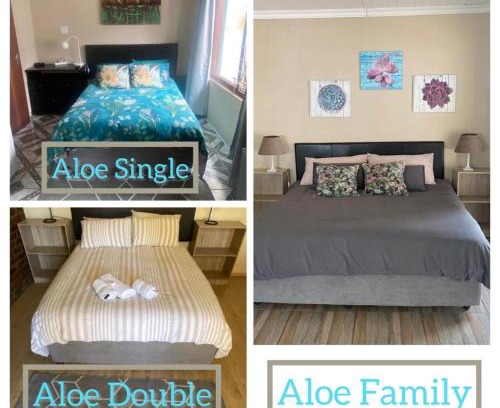 Brandwag House | Aloe Guest Rooms