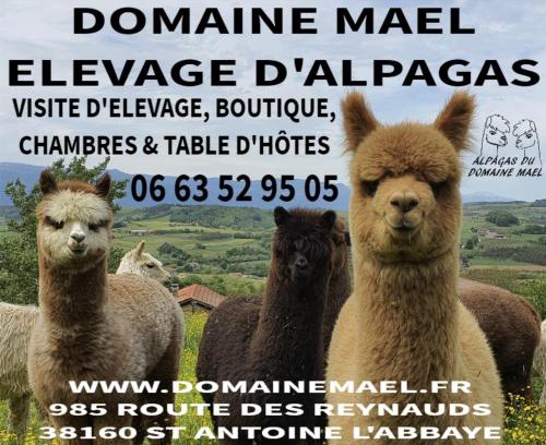 Saint-Antoine-l'Abbaye Bed & Breakfast | ALPAGAS DU DOMAINE MAEL