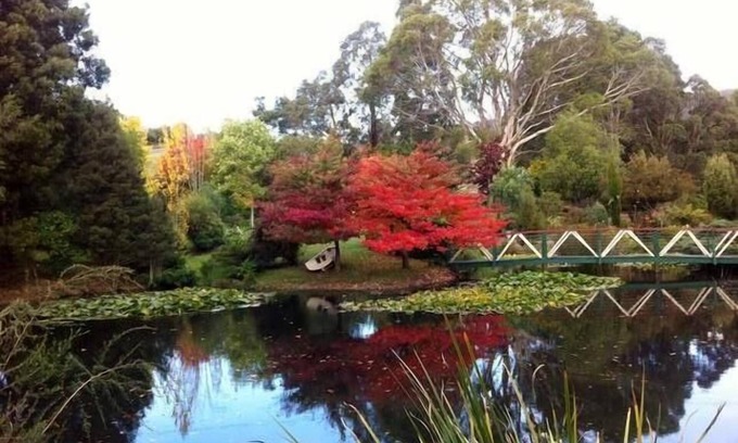 South Spreyton Cottage | ALTONA GARDEN RETREAT