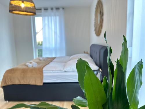 Rheinhausen Apartment | AMAO Grey - 86 m2 Apartment - Balcony - King-Size Beds - Free Parking - Near Europa-Park