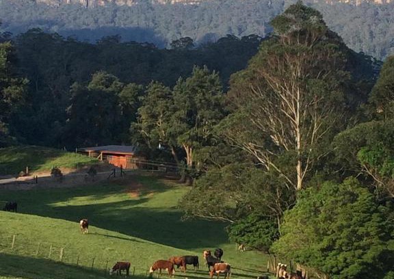 Barrengarry Villa | Amaroo Valley Springs