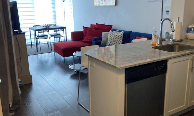 King West Village Condo | Amazing Condo in Trendy area Liberty Village Toronto near Downtown