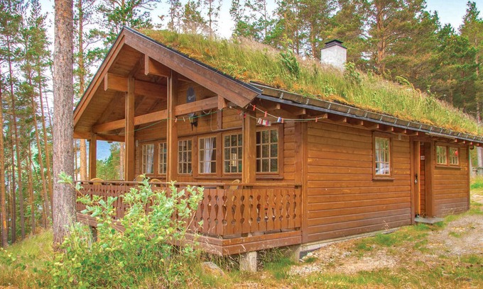 Videseter House | Amazing home in Hjelledalen with sauna