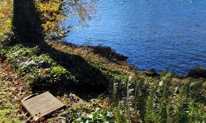 Marcola House | Amazing Home on the River!