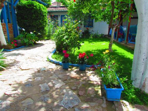 Selcuk House | Amazon Antique