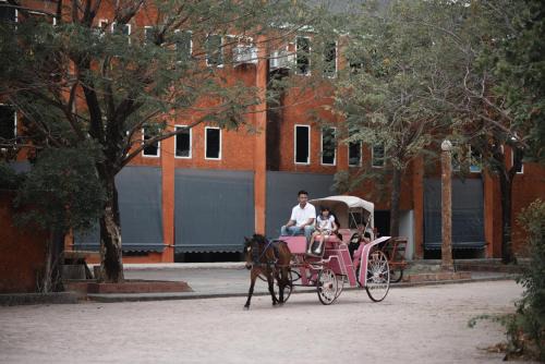 Amphawa House | Amphawahorsefarm
