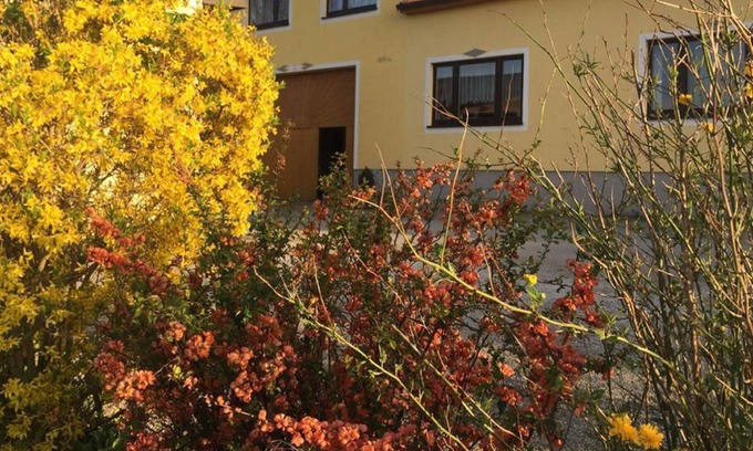 Waldenstein Apartment | Amstetter's Ferienwohnung