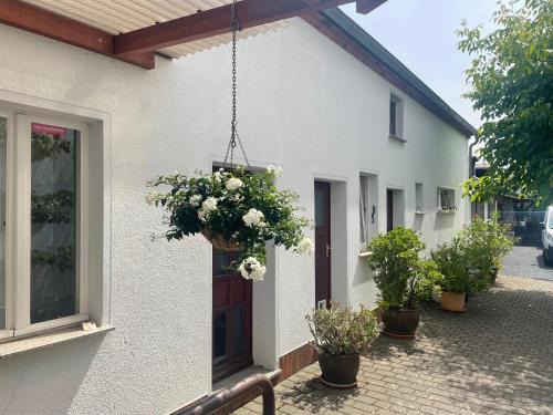 Finsterwalde Apartment | An der Bürgeheide