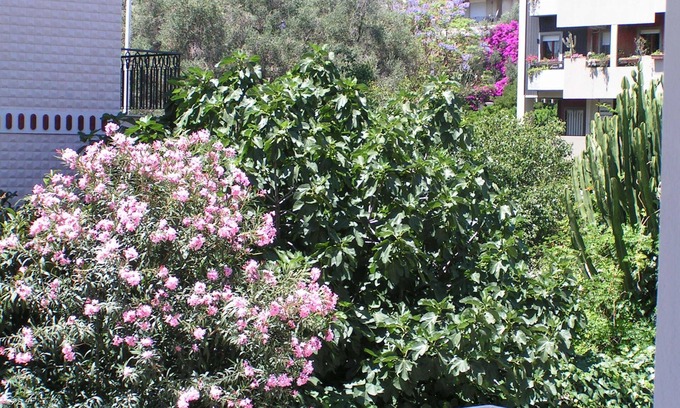 Province of Cagliari House | Anania