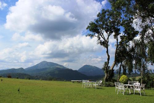 Ankumbura Pallegama House | Ancoombra Tea Estate Bungalow