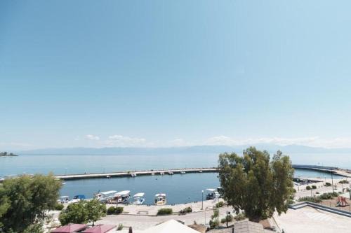Agios Andreas Hotel | Angelika Inn