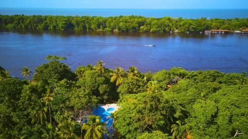 Tortuguero Cabin | Aninga Lodge