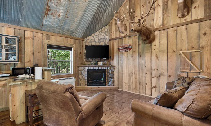Branson Cabin | Antlers Point – Cabin for 4