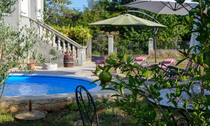 Sveti Vid Dobrinjski Apartment | Apartment Villa Oliva with private swimming pool