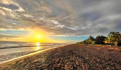 Tortuguero Apartment | Apartahotel & Gym Rondon