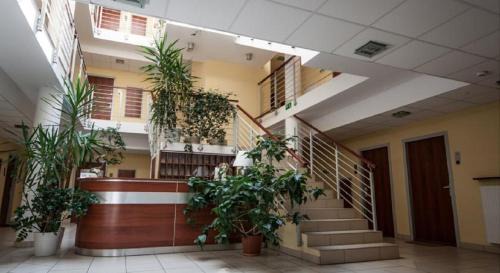 Kazimierz Dolny Apartment | Apartament 42 Loft - Pod Aniołem