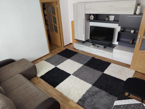 Piatra Neamt Apartment | Apartament central