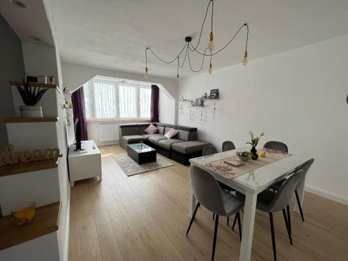 Viseu de Sus Apartment | Apartament Central