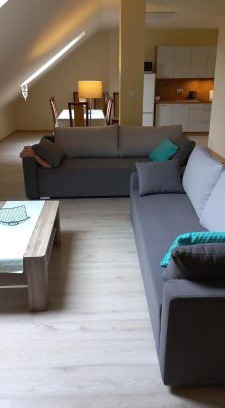 Zarki Apartment | Apartament centrum Jura Żarki