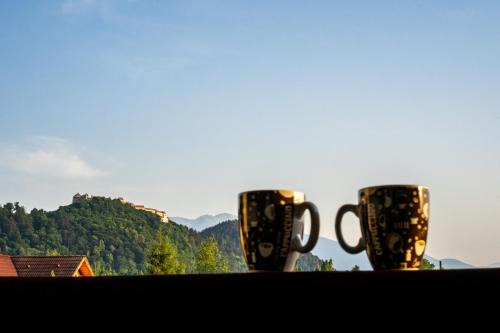 Rasnov Apartment | APARTAMENT CETATE VIEW