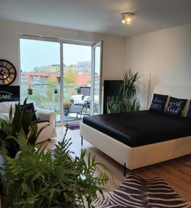 Pradnik Bialy Apartment | Apartament City Center Kraków