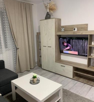 Barlad Apartment | Apartament Elena