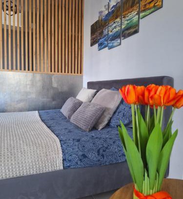 Nowy Targ Apartment | Apartament Górska Szarotka