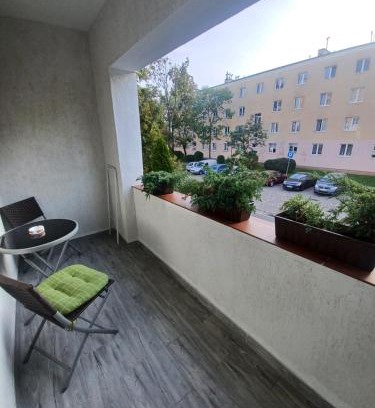 Torun Apartment | Apartament LORD
