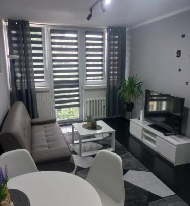 Dzierzoniow Apartment | Apartament na Jasnym