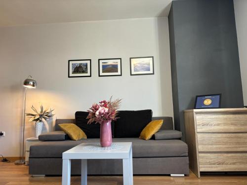 Ustrzyki Dolne Apartment | Apartament Wygodny