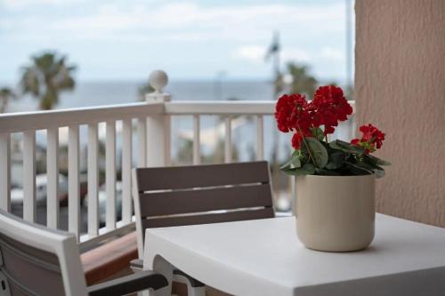 Chejilipes Apartment | Apartamento Bonjour