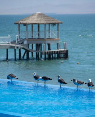Pisco Apartment | Apartamento Frente a Islas Ballestas
