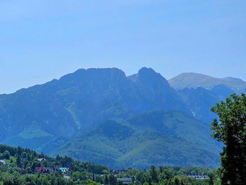 Zakopane Apartment | Apartamenty z widokiem & Balia - Willa KRÓLE 25A by RentiloPL