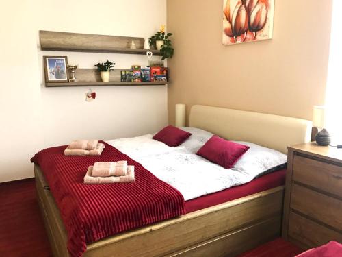 Strbske Pleso Apartment | Apartmán Crocus 313