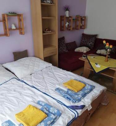 Tatranska Strba Apartment | Apartmán Palenica