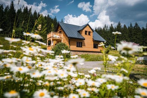 Bila Apartment | Apartmány Mezivodí