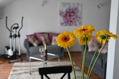 Ludbreg Apartment | Apartmani Lucija