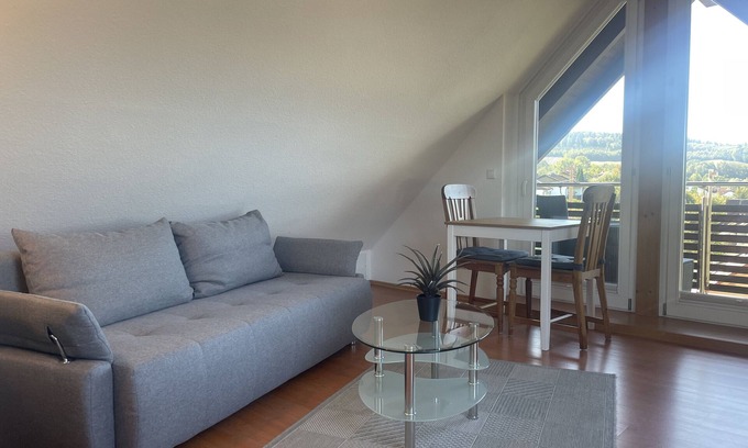 Uhldingen-Muehlhofen Apartment | Apartment '1 Mit 50qm' with Balcony and Wi-Fi