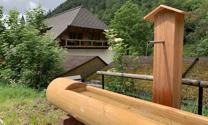 Todtnau Apartment | Apartment 1 - Dischler