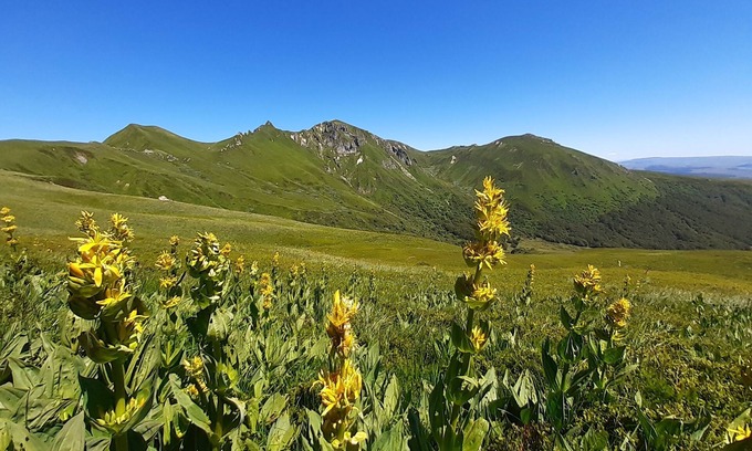 Chastreix Apartment | Apartment 6 people station Chastreix Sancy alt 1385m