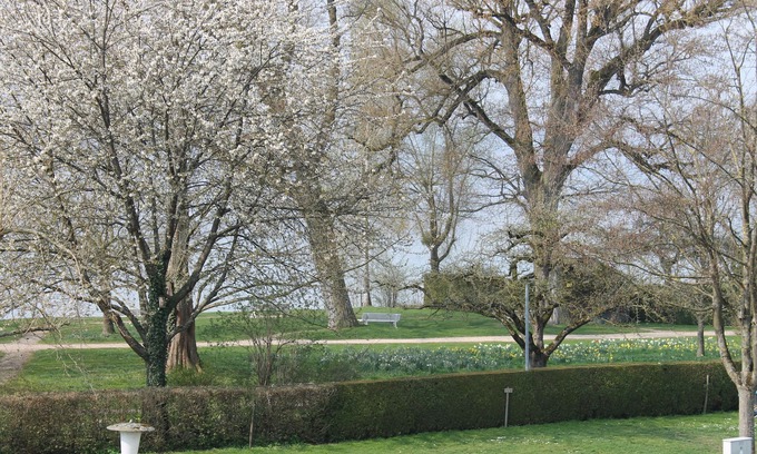 Ueberlingen Apartment | Apartment close to the lake, with beautiful balcony and lake view