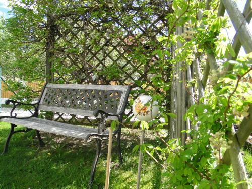 Frauenstein Apartment | Apartment Ferienwohnung Kogler