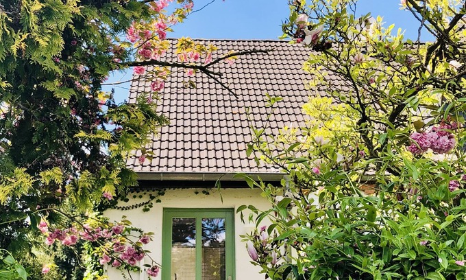 Brusewitz Apartment | Apartment 'Fräulein Tulpenboom' modern, ecological, quiet and close to the city with wallbox