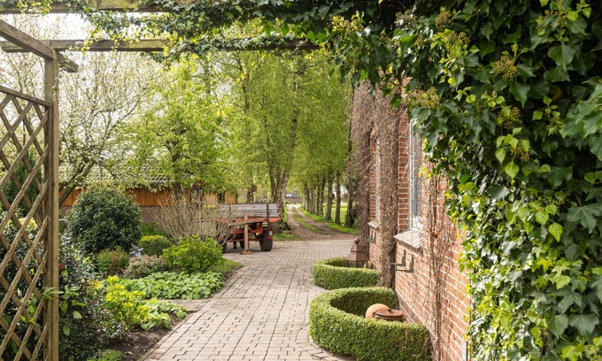 Schwerinsdorf Apartment | Apartment Ground Floor, Birken-Allee 35181 - Apartment Birch Alley