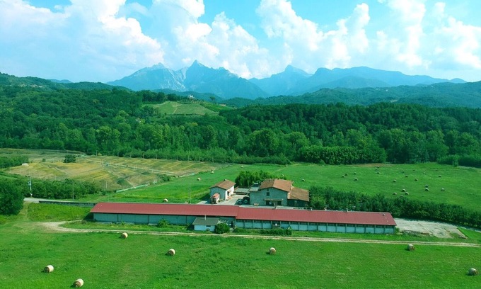 Gassano Other | Apartment "Il Fienile" at Agriturismo La Preduscella