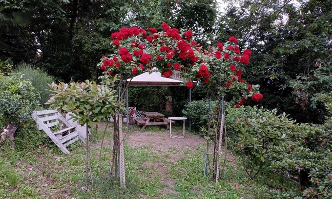 San Maurizio Apartment | Apartment in house surrounded by greenery above Ghiffa: 300 meters from the lake.