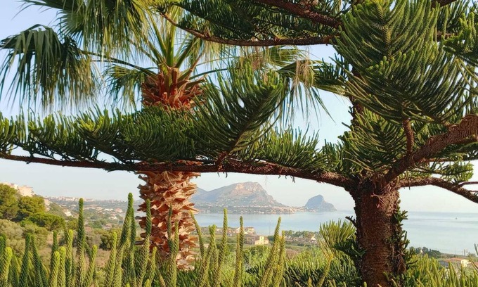 Altavilla Milicia House | Apartment in villa, in hillside location with sea view.