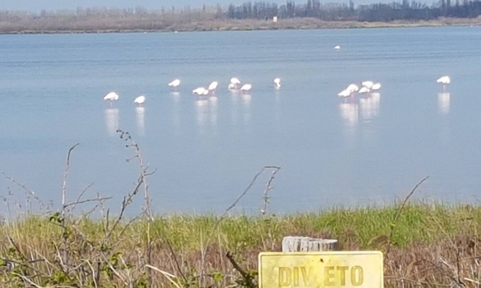 Porto Viro Apartment | Apartment in the countryside ideal for excursions Po Delta/Venice/Ravenna